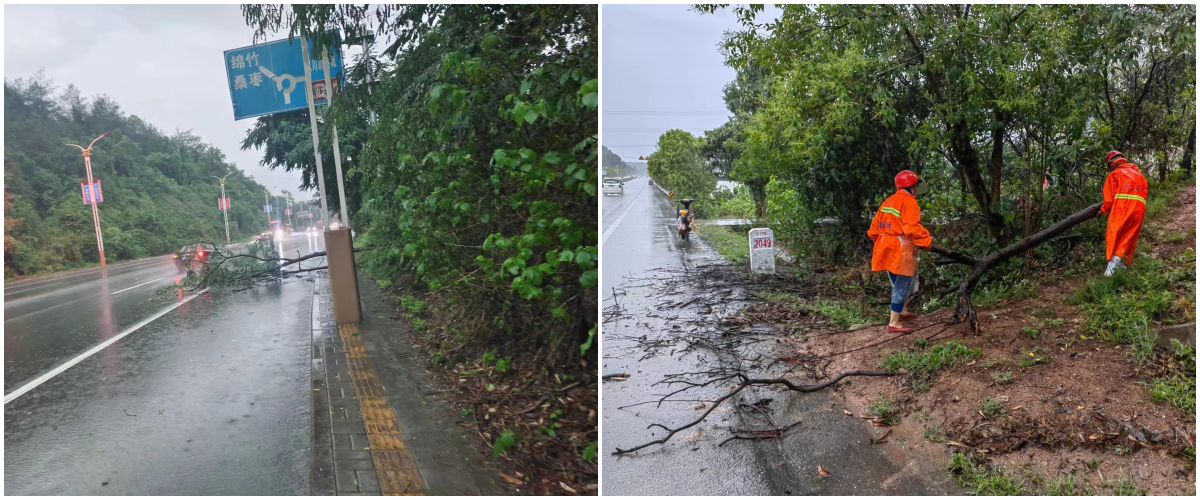 管養(yǎng)路段永安路、綿梓路.png